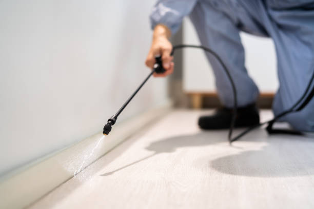 Licensed Pest Control service in Brown Station, MD - Show Me Pest Control
