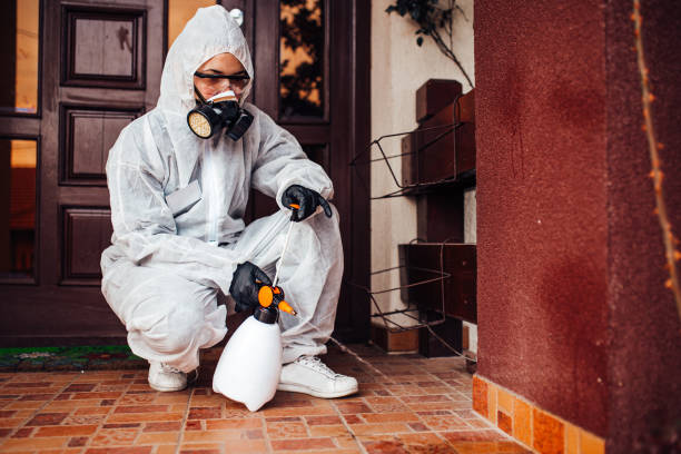 Attic and Crawl Space Rodent Treatment in Brown Station
