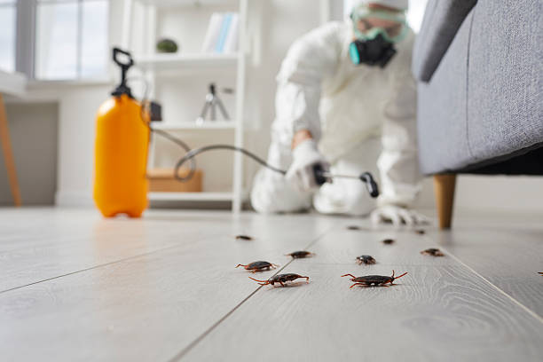Commercial Rodent Management in Brown Station